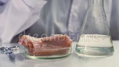食品安全专家在实验室检查红肉